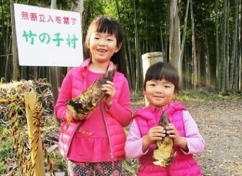 伊豆高原たけのこ村のたけのこ狩り
