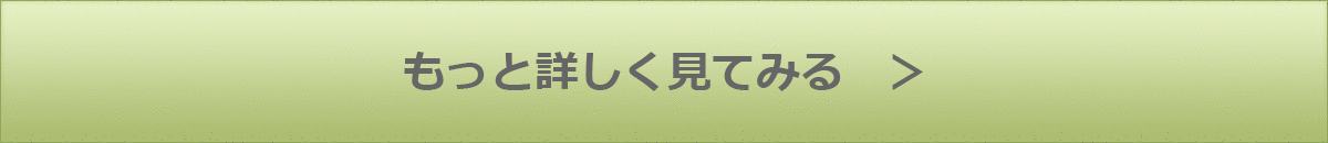 ホテルの詳細へ